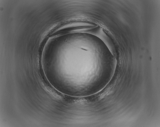 X0000070230446200605301459