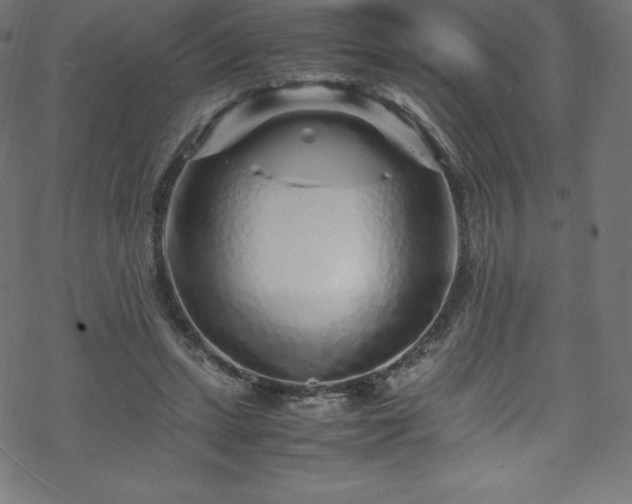 X0000070230447200605301459