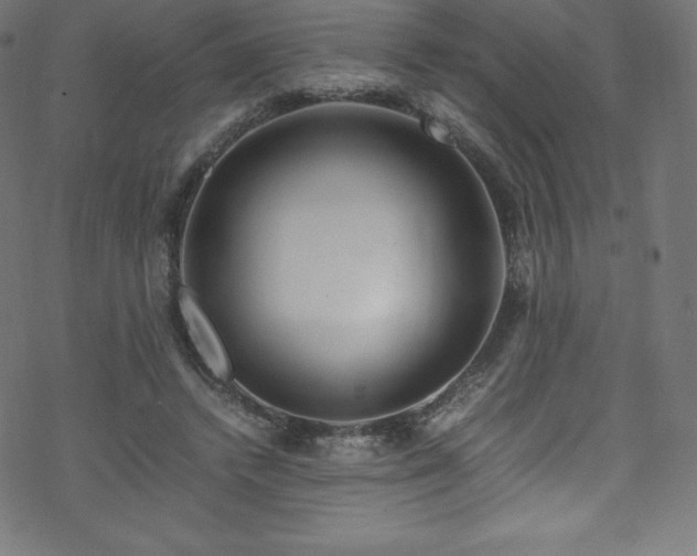 X0000070230448200605301459