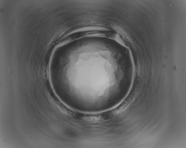 X0000070230449200605301500