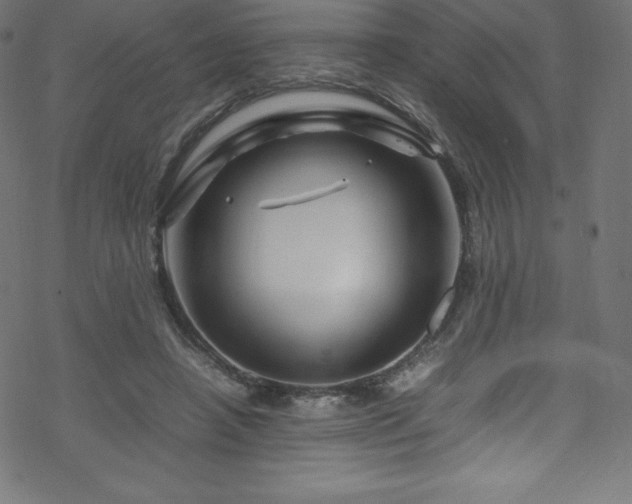 X0000070230450200605301500