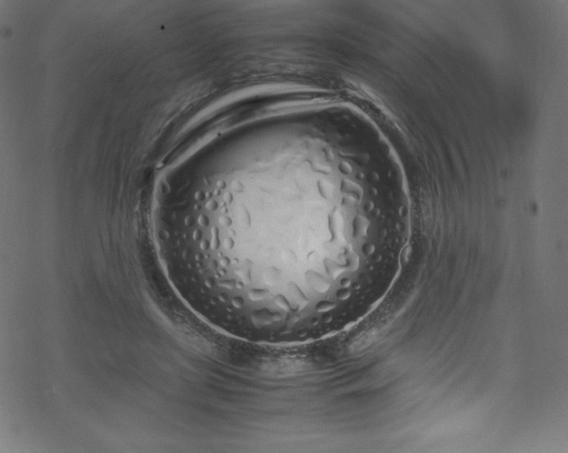 X0000070230451200605301500