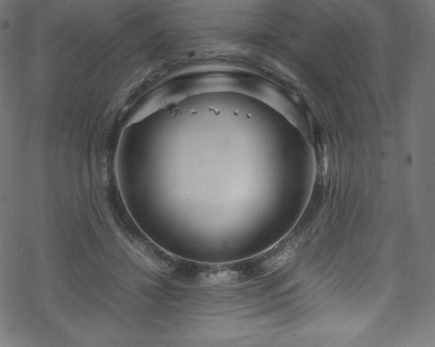 X0000070230452200605301500