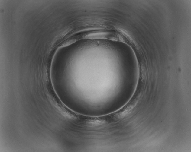 X0000070230453200605301500