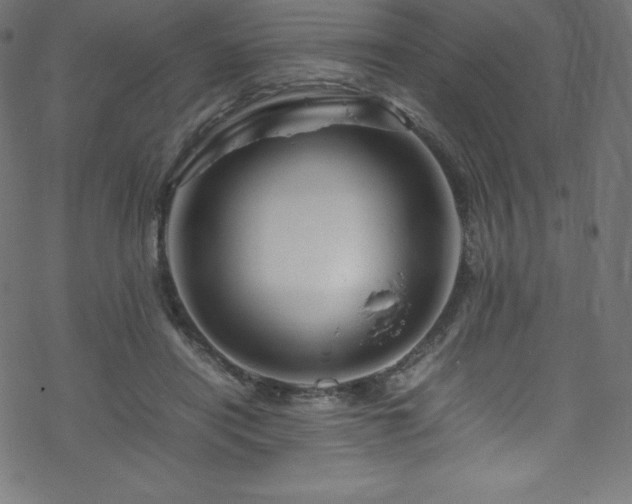 X0000070230454200605301500