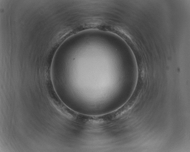 X0000070230455200605301500