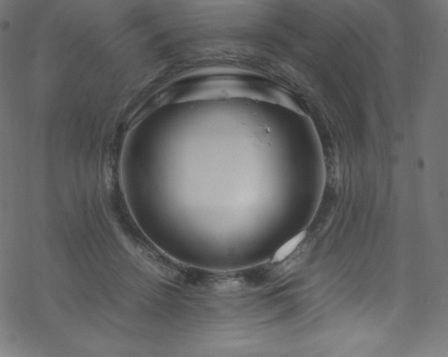 X0000070230456200605301500