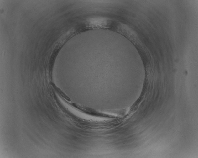 X0000070230457200605301500