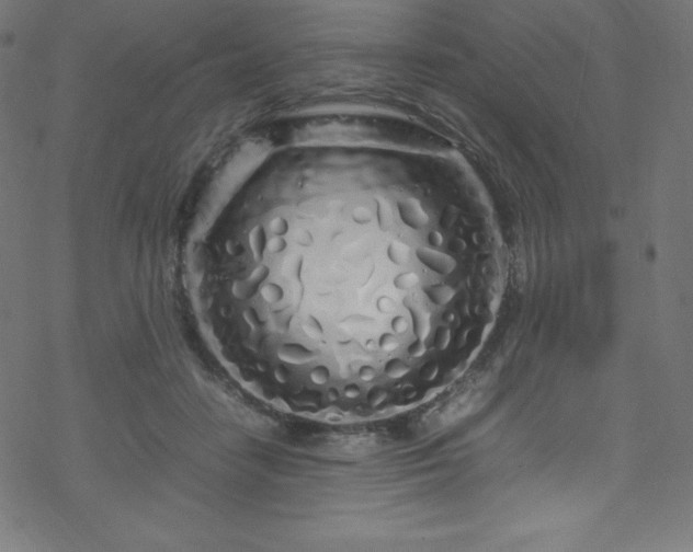 X0000070230458200605301500