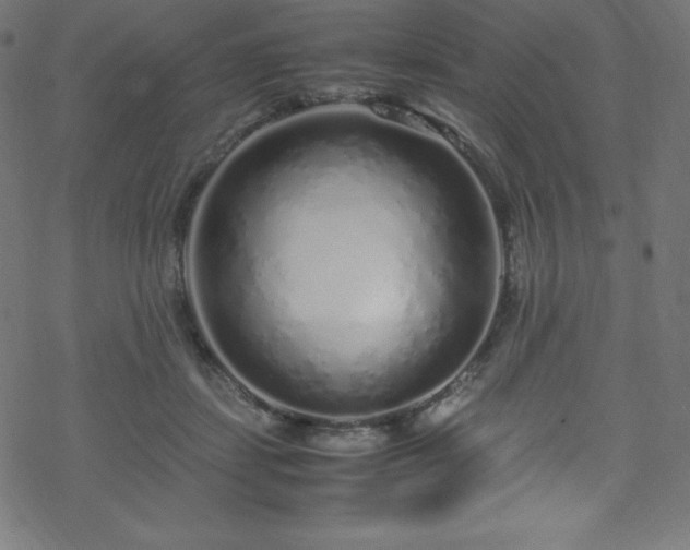 X0000070230459200605301500