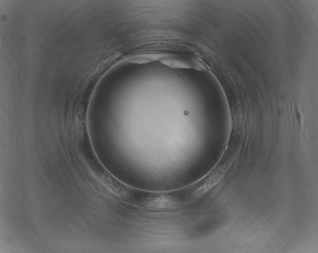 X0000070230460200605301500