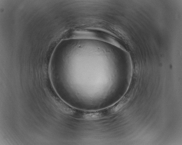 X0000070230461200605301500