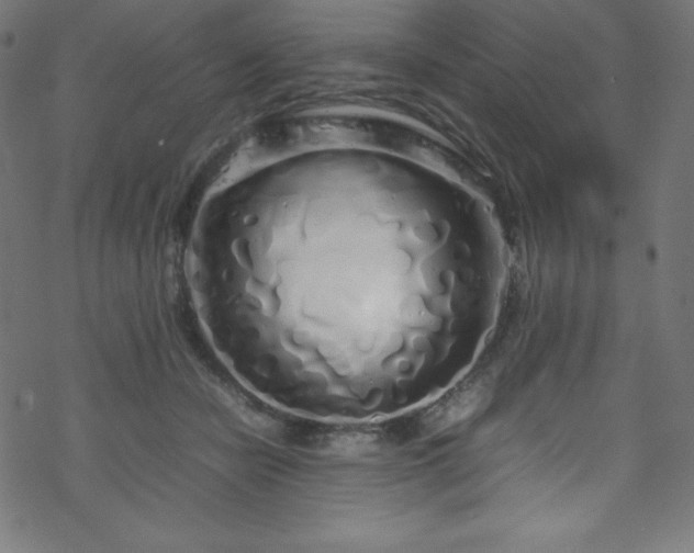 X0000070230462200605301500