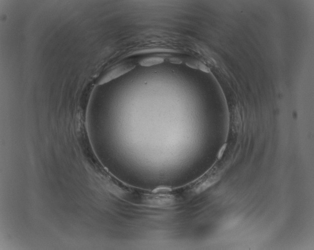 X0000070230463200605301500