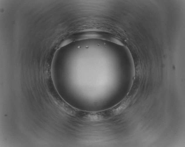 X0000070230464200605301500