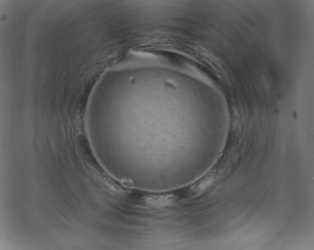 X0000070230465200605301500