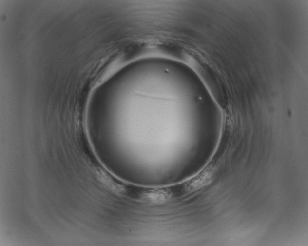 X0000070230466200605301500