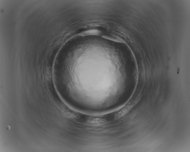 X0000070230467200605301500