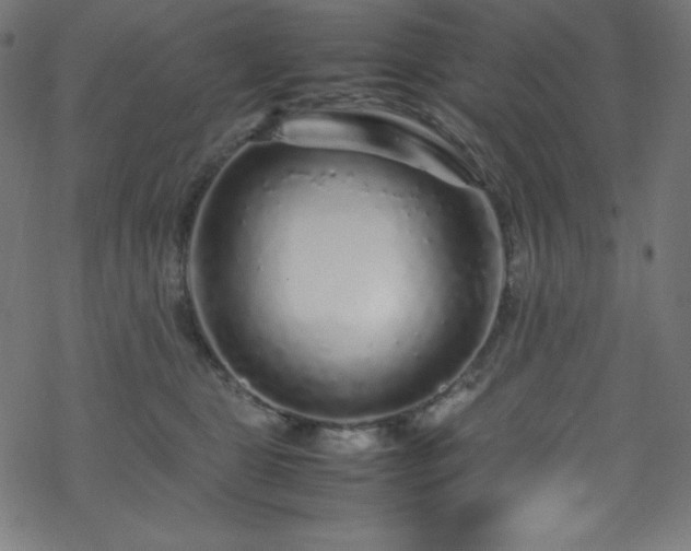 X0000070230469200605301500