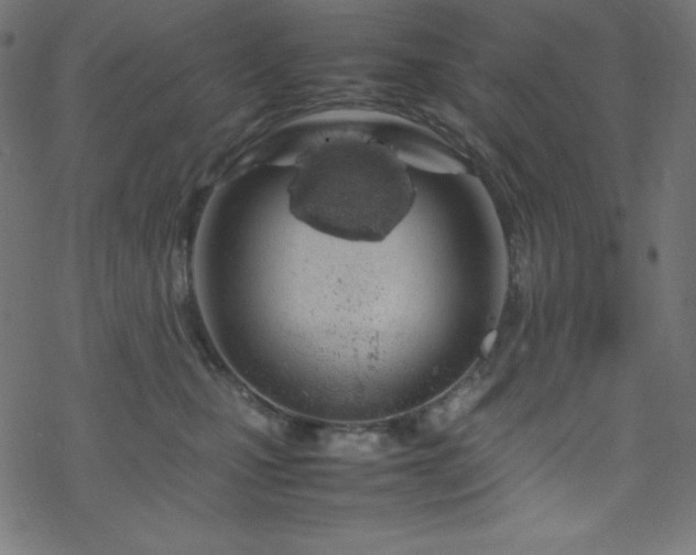 X0000070230471200605301500