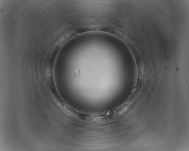 X0000070230472200605301500