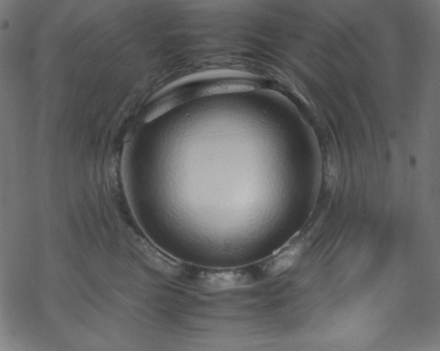 X0000070230473200605301500