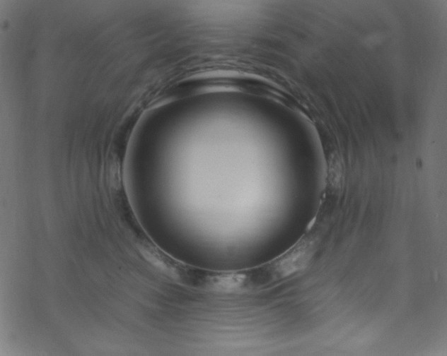 X0000070230474200605301500