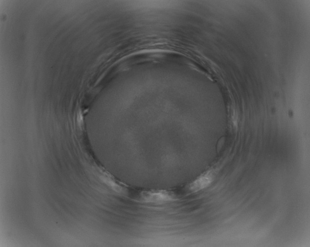 X0000070230475200605301500