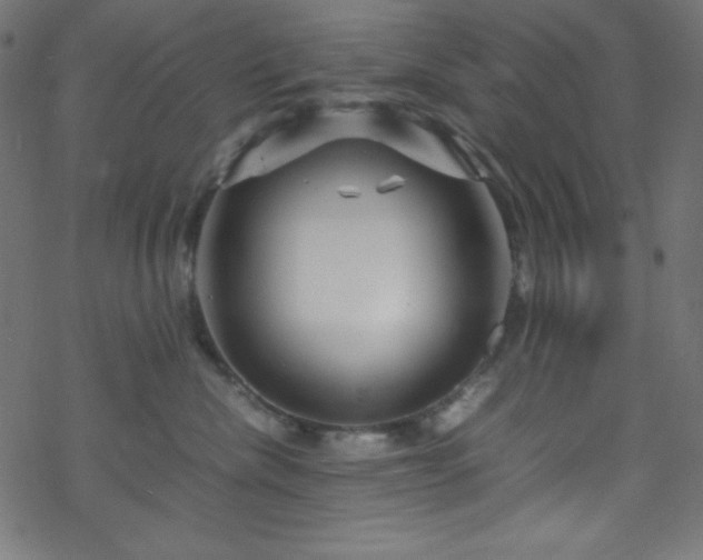 X0000070230476200605301500