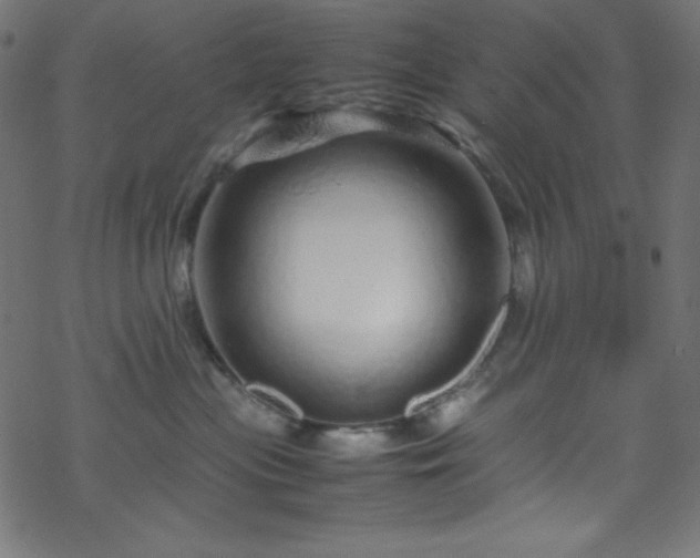 X0000070230477200605301500