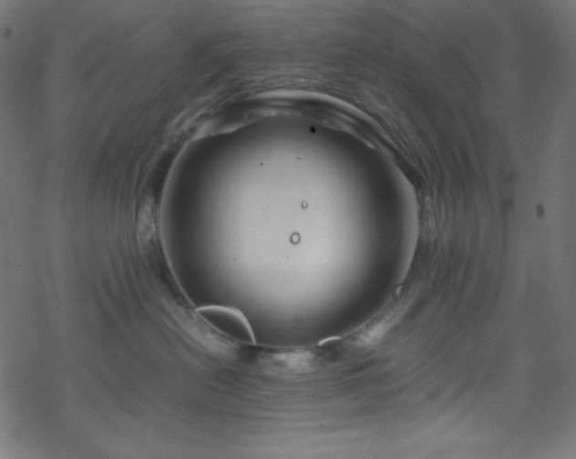 X0000070230478200605301500