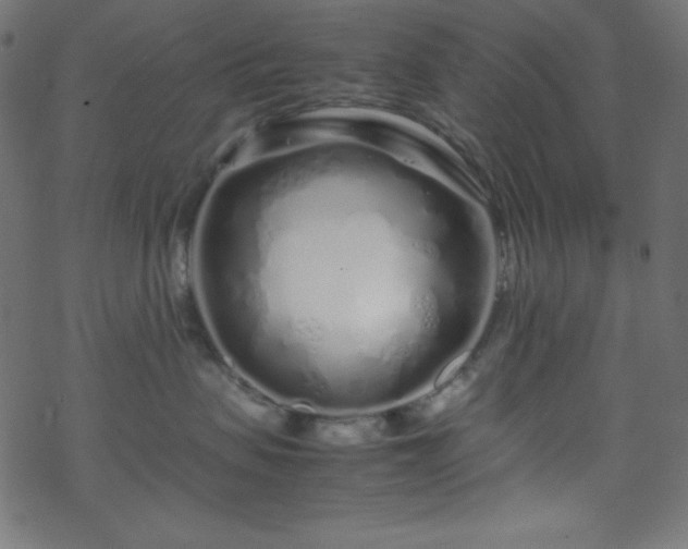 X0000070230479200605301500