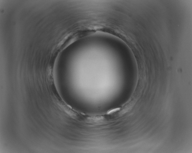 X0000070230480200605301500