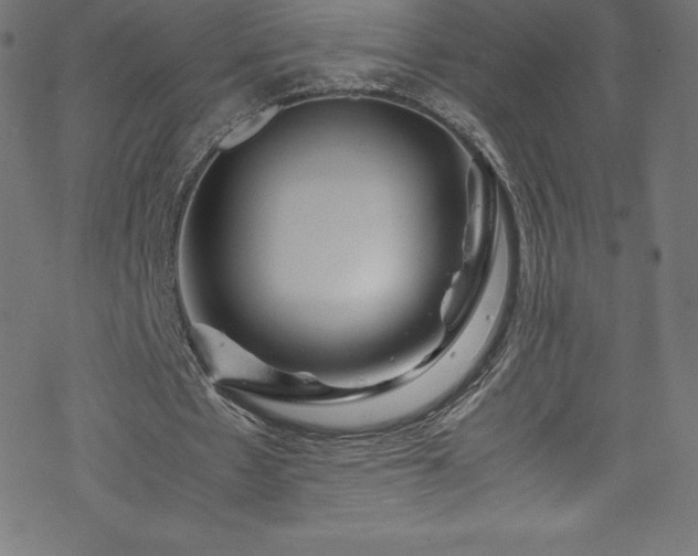 X0000070230481200605301459