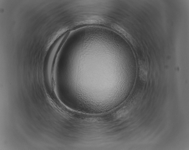 X0000070230482200605301459