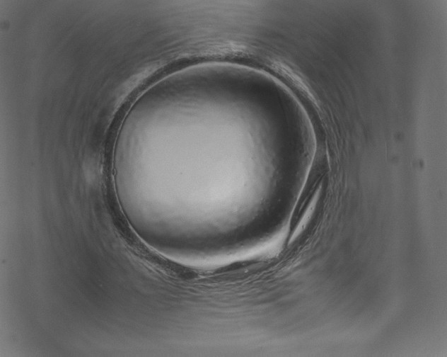 X0000070230483200605301459