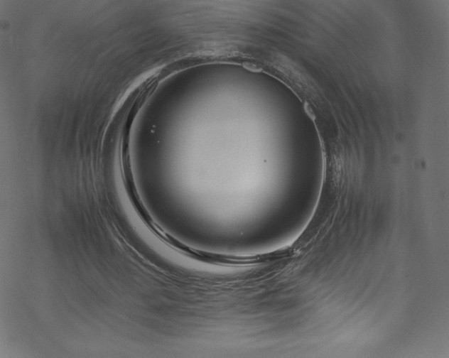 X0000070230484200605301459