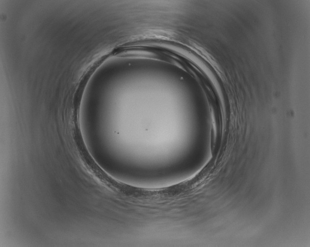 X0000070230485200605301459