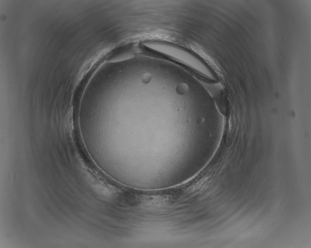 X0000070230486200605301459