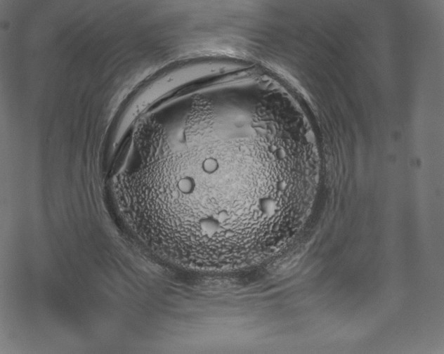 X0000070230487200605301459