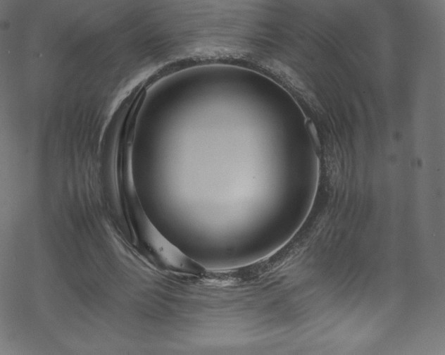 X0000070230488200605301459