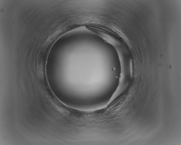 X0000070230489200605301459