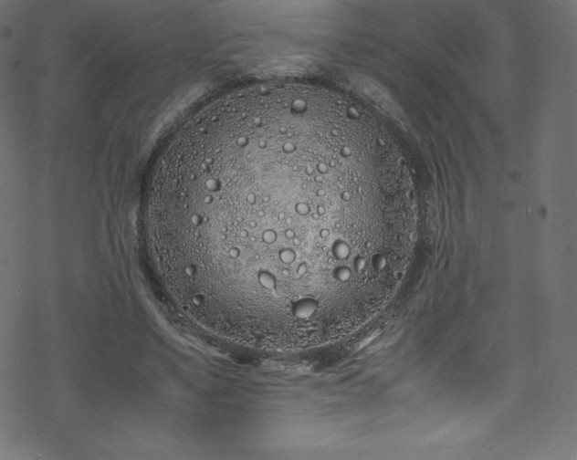 X0000070230491200605301459