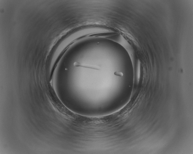 X0000070230492200605301459