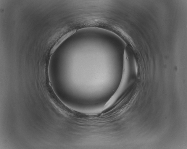 X0000070230493200605301459