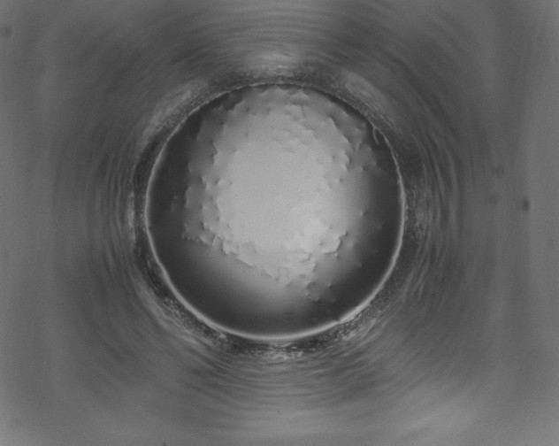 X0000070230494200605301459