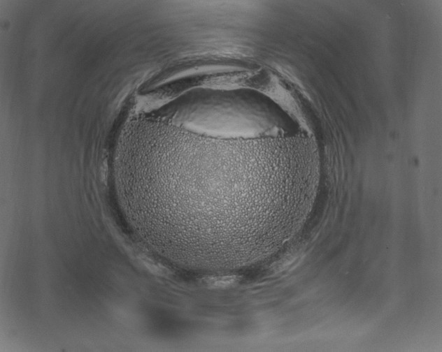 X0000070230495200605301459