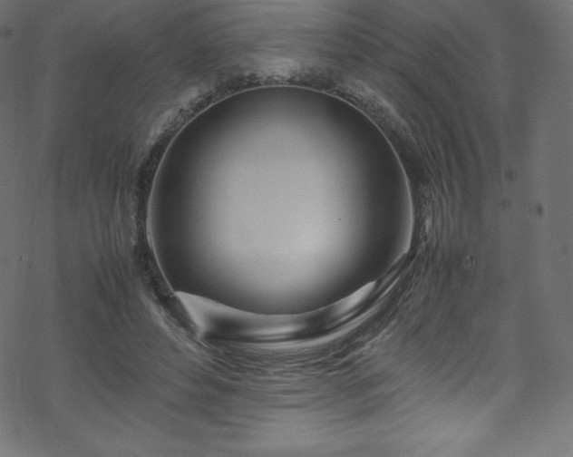 X0000070230496200605301459