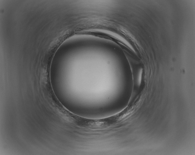 X0000070230497200605301459