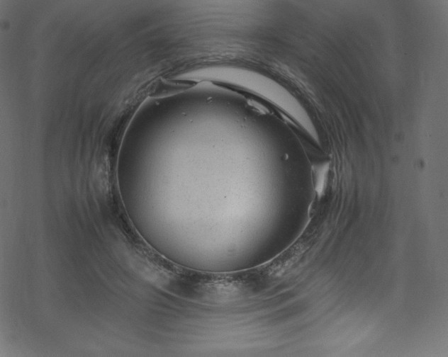 X0000070230498200605301459